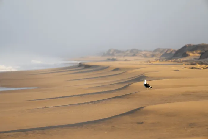 Framed Print : Waves Burn on the Atlantic Coast Print, Namibia Framed Print : Waves Burn on the Atlantic Coast Print, Namibia