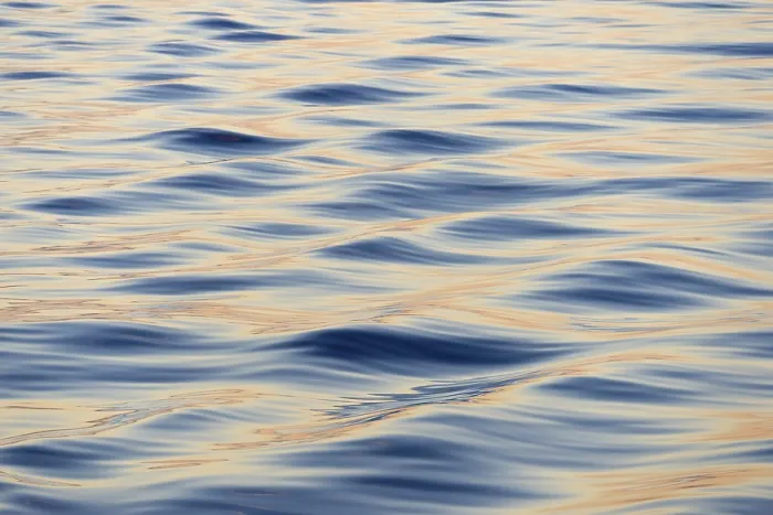 Framed Print : Waves in the evening light, Denmark Strait, Greenland Print Framed Print : Waves in the evening light, Denmark Strait, Greenland Print