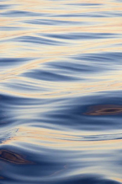 Framed Print : Waves in the evening light, Denmark Strait, Greenland Print Framed Print : Waves in the evening light, Denmark Strait, Greenland Print