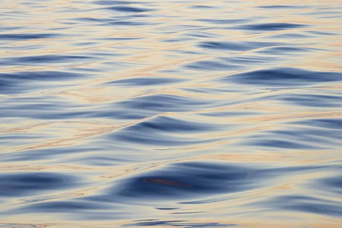 Framed Print : Waves in Evening Light, Denmark Strait Print Framed Print : Waves in Evening Light, Denmark Strait Print