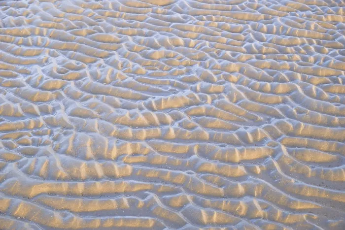 Framed Print : Wavy Patterns in Wet Sand Print, Norderney, Germany Framed Print : Wavy Patterns in Wet Sand Print, Norderney, Germany