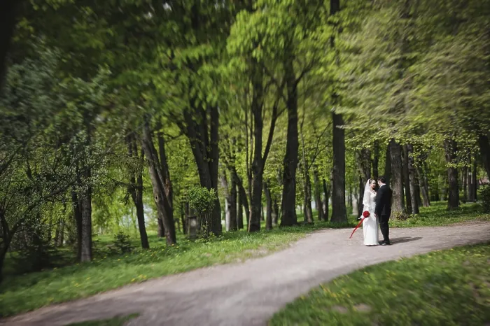 Framed Print : Tilt-Shift Print: Forest Wedding Couple Framed Print : Tilt-Shift Print: Forest Wedding Couple