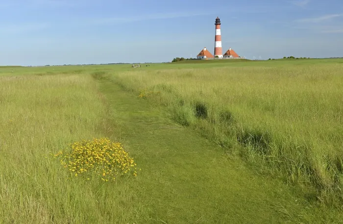 Framed Print : Westerheversand Lighthouse Print, Germany