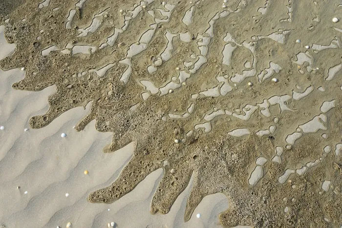Framed Print : Wet Sand Print, Plage Saint Efflamm, Brittany France Framed Print : Wet Sand Print, Plage Saint Efflamm, Brittany France