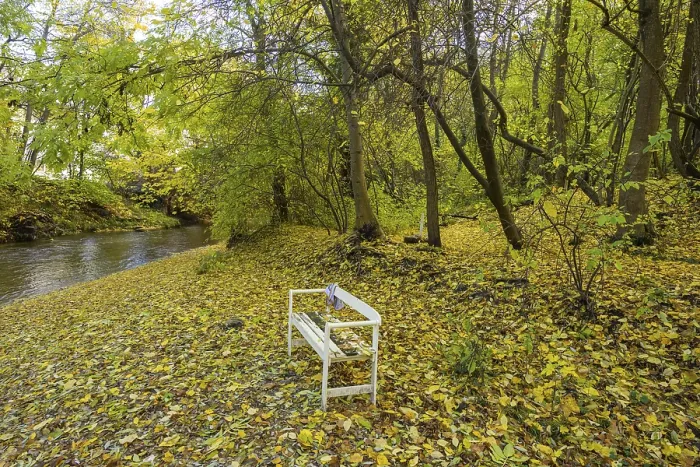 Framed Print : White bench on the autumnal Triesting, Print Framed Print : White bench on the autumnal Triesting, Print