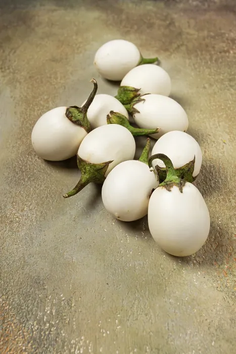 Framed Print : White Eggplants on Textured Surface Print