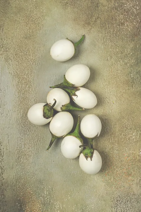 Framed Print : White Eggplants on Textured Surface Print Framed Print : White Eggplants on Textured Surface Print