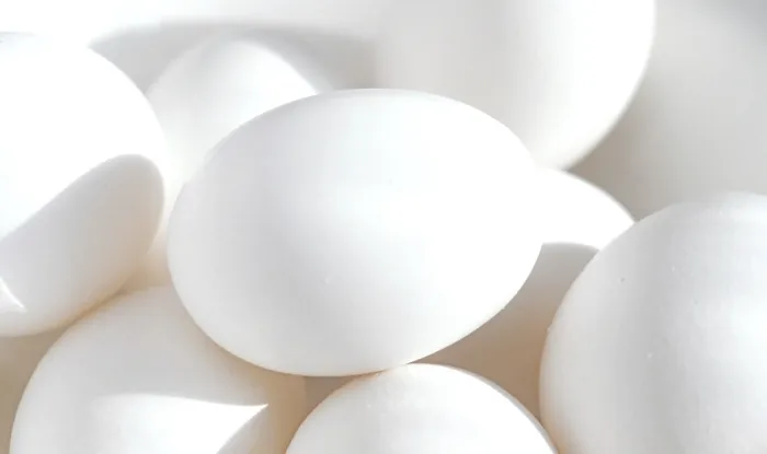 Framed Print : White Eggs Print from imageBROKER Framed Print : White Eggs Print from imageBROKER