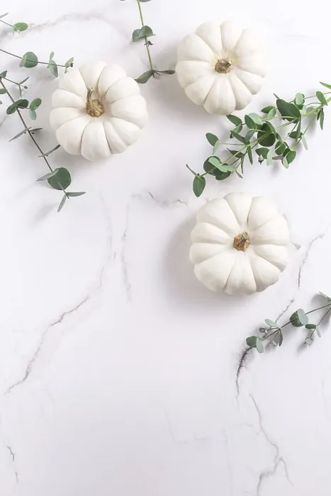 Framed Print : White Pumpkins with Eucalyptus on White Background Print Framed Print : White Pumpkins with Eucalyptus on White Background Print