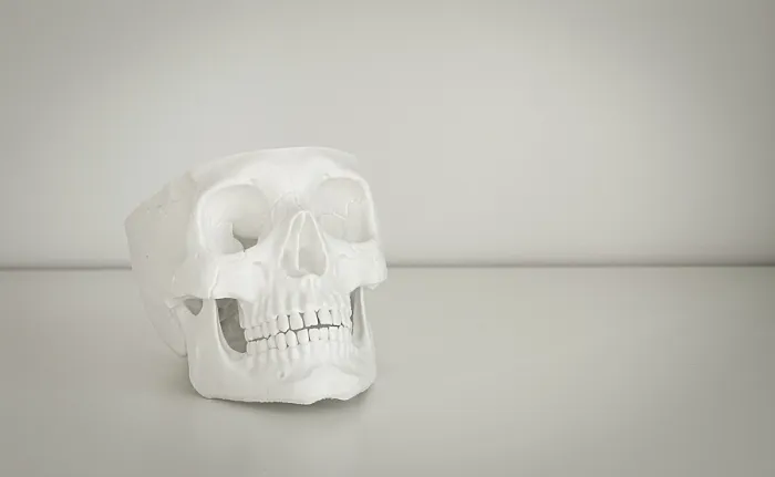 Framed Print : White Skull Model Print on Neutral Background Framed Print : White Skull Model Print on Neutral Background