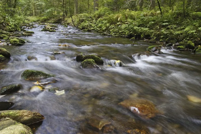 Framed Print : Wildbach Print - Torrent Landscape Framed Print : Wildbach Print - Torrent Landscape