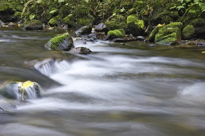 Framed Print : Wildbach, Torrent Print Framed Print : Wildbach, Torrent Print
