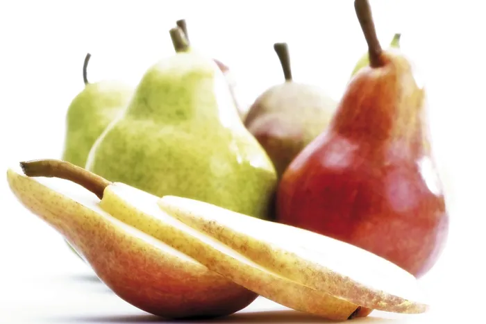 Framed Print : Williams or Bartlett Pears Print Framed Print : Williams or Bartlett Pears Print