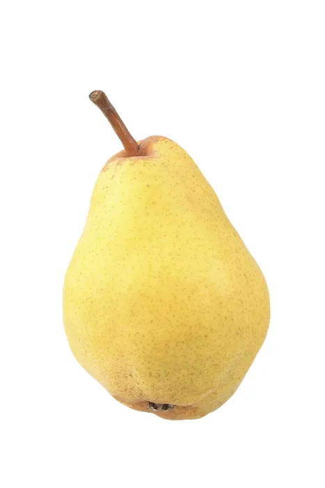 Framed Print : Williams Pear Print Framed Print : Williams Pear Print
