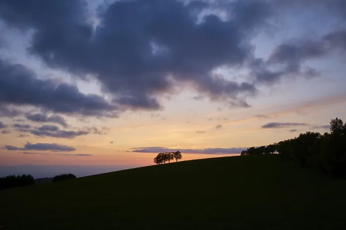 Framed Print : Wind beeches at sunset Print, Schauinsland, Germany Framed Print : Wind beeches at sunset Print, Schauinsland, Germany