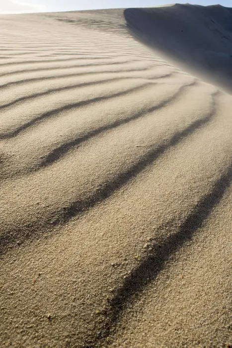 Framed Print : The Wind Creates a Ripple Effect on a Dune Print