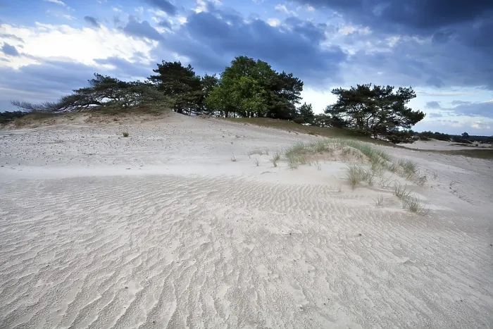 Framed Print : Wind Texture on Sand Dune Print Framed Print : Wind Texture on Sand Dune Print