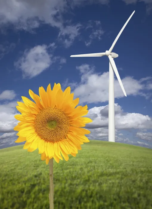 Framed Print : Wind Turbine Print: Dramatic Sky with Sunflower Framed Print : Wind Turbine Print: Dramatic Sky with Sunflower