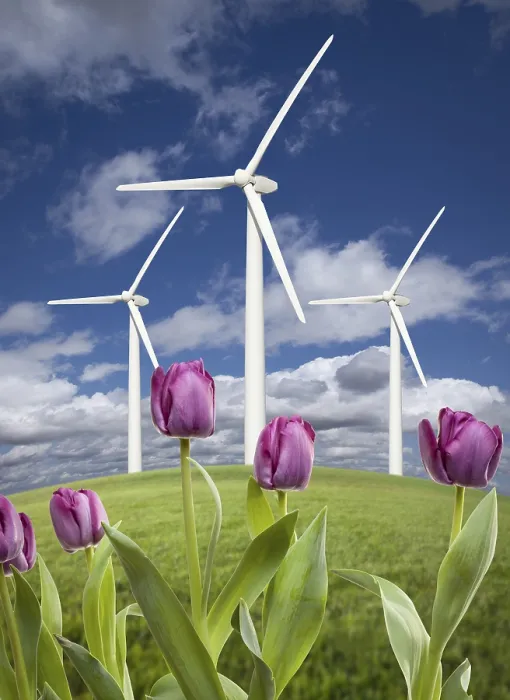 Framed Print : Wind Turbines Print - Dramatic Sky