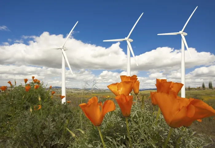 Framed Print : Wind Turbines Against Dramatic Sky Print Framed Print : Wind Turbines Against Dramatic Sky Print