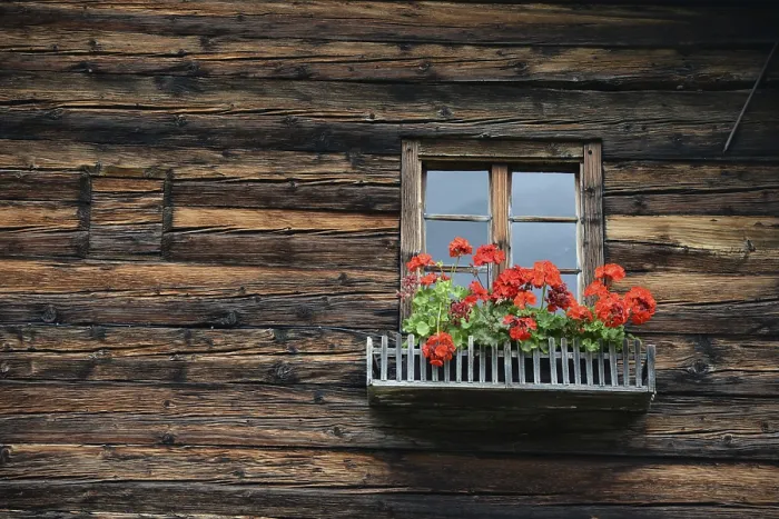 Framed Print : Rustic Mountain Hut Print with Flower Window Framed Print : Rustic Mountain Hut Print with Flower Window