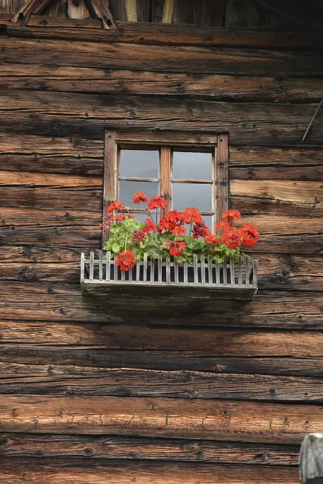 Framed Print : Rustic Mountain Hut Flower Window Print Framed Print : Rustic Mountain Hut Flower Window Print