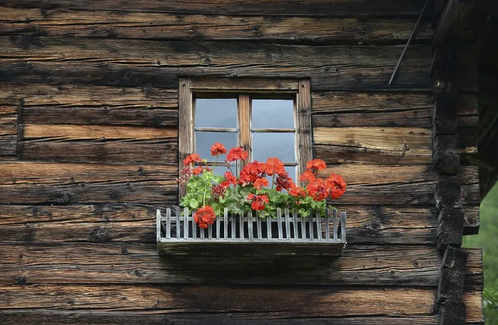 Framed Print : Rustic Mountain Hut Print with Flower Window Framed Print : Rustic Mountain Hut Print with Flower Window