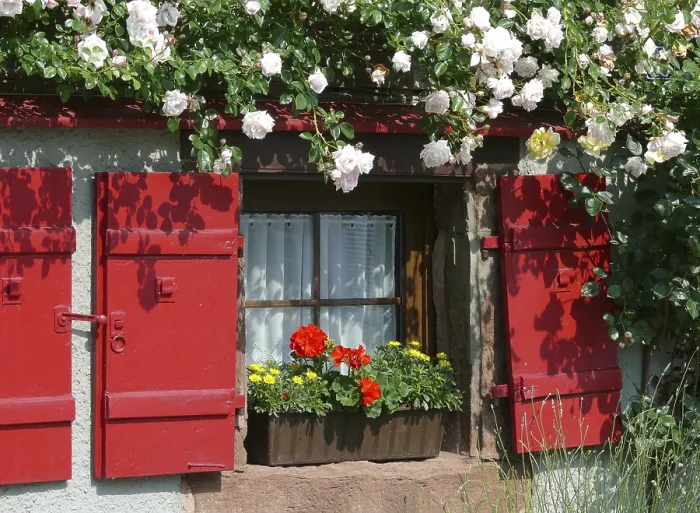 Framed Print : Window with Shutter, Various Flowers Print Framed Print : Window with Shutter, Various Flowers Print