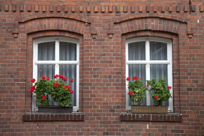 Framed Print : Windows with flowering geraniums Print, Spreewald Region, Germany Framed Print : Windows with flowering geraniums Print, Spreewald Region, Germany
