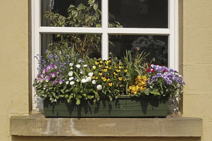 Framed Print : Windowsill Floral Print with Violets and Wildflowers Framed Print : Windowsill Floral Print with Violets and Wildflowers