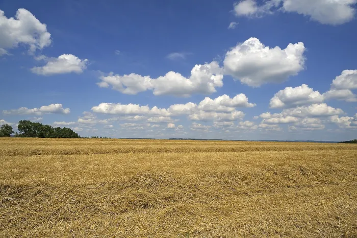 Framed Print : Bavarian Stubble Field Print with Cloudy Sky Framed Print : Bavarian Stubble Field Print with Cloudy Sky