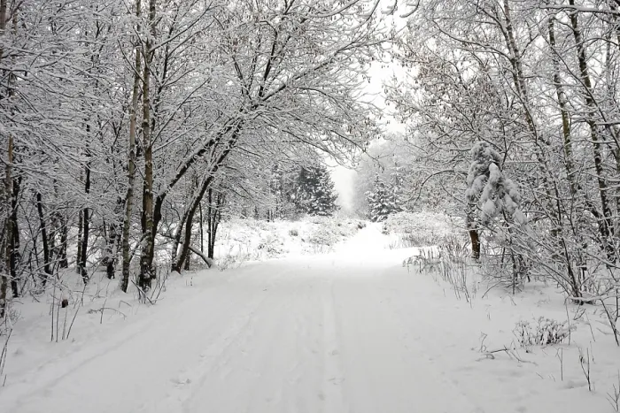Framed Print : Winter Landscape Print Framed Print : Winter Landscape Print