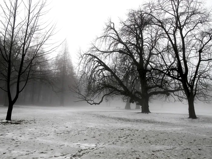 Framed Print : Winter Landscape Print by ImageBROKER Framed Print : Winter Landscape Print by ImageBROKER
