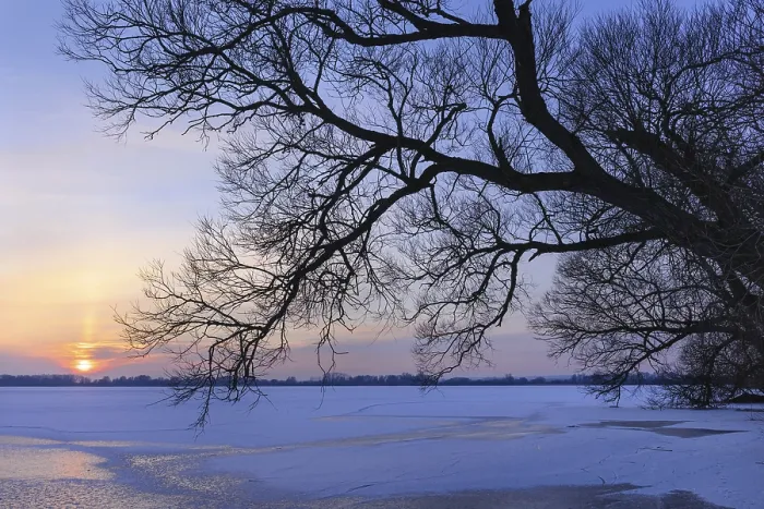 Framed Print : Winter evening at Lake Dmmer print, Lower Saxony, Germany Framed Print : Winter evening at Lake Dmmer print, Lower Saxony, Germany