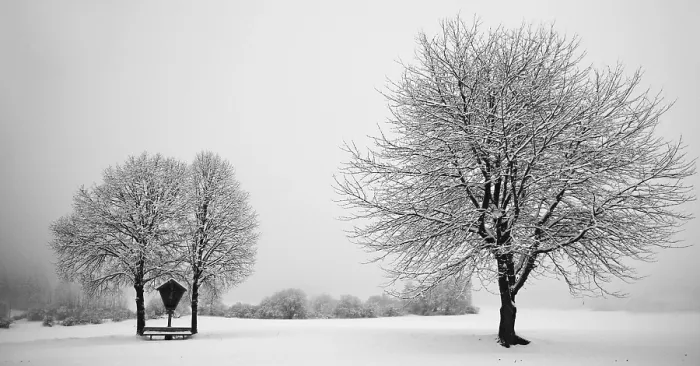 Framed Print : Winter Idyll Print by Arnold Böcklin Framed Print : Winter Idyll Print by Arnold Böcklin