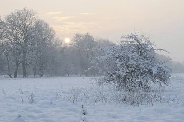 Framed Print : Winter Landscape Print Framed Print : Winter Landscape Print