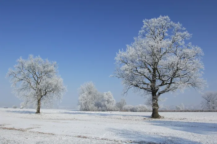 Framed Print : Winter Landscape Print Framed Print : Winter Landscape Print