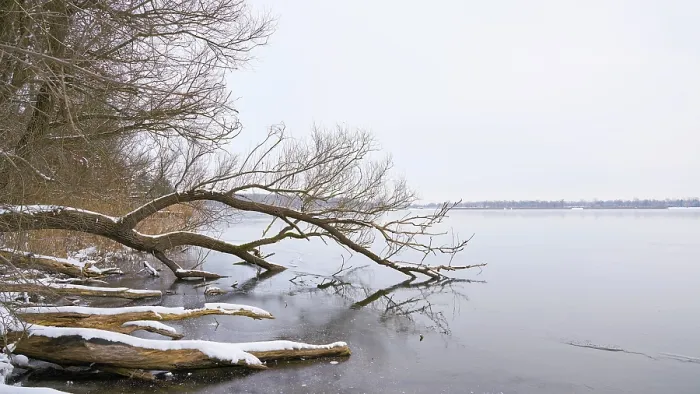 Framed Print : Winter Landscape Print with Bare Trees Framed Print : Winter Landscape Print with Bare Trees