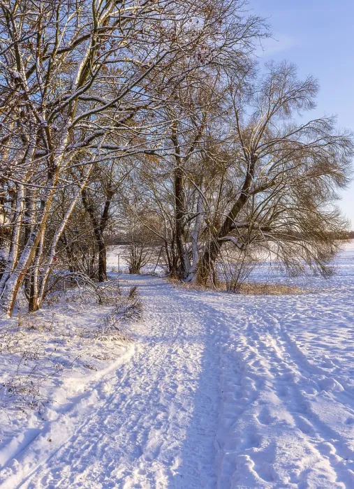 Framed Print : Winter Landscape Print, Berlin-Lubars, Germany Framed Print : Winter Landscape Print, Berlin-Lubars, Germany