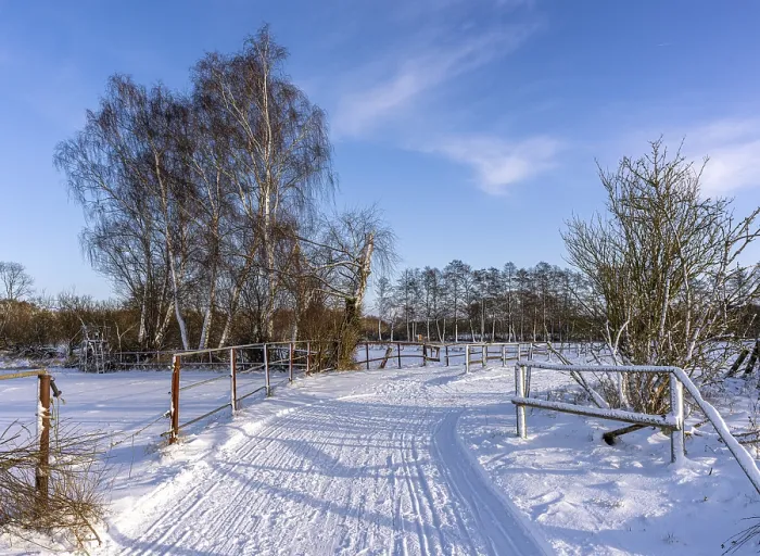Framed Print : Winter Landscape Print, Berlin-Lubars, Germany Framed Print : Winter Landscape Print, Berlin-Lubars, Germany