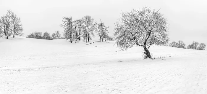 Framed Print : Winter Landscape in the Low Mountain Range Print