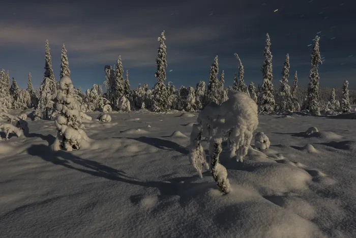 Framed Print : Winter Landscape Print in Moonlight, Norrbotten, Sweden Framed Print : Winter Landscape Print in Moonlight, Norrbotten, Sweden