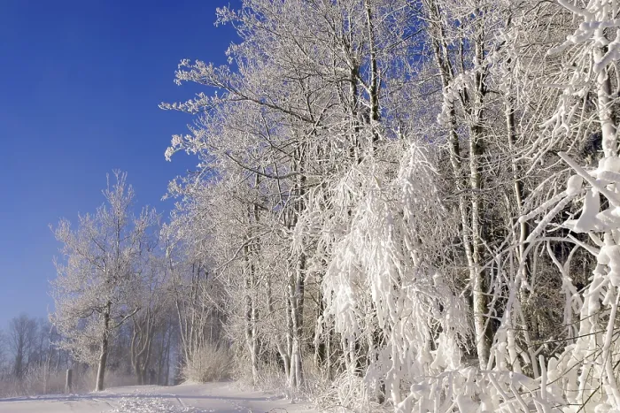 Framed Print : Winter Landscape Print - Winterberg, Germany Framed Print : Winter Landscape Print - Winterberg, Germany