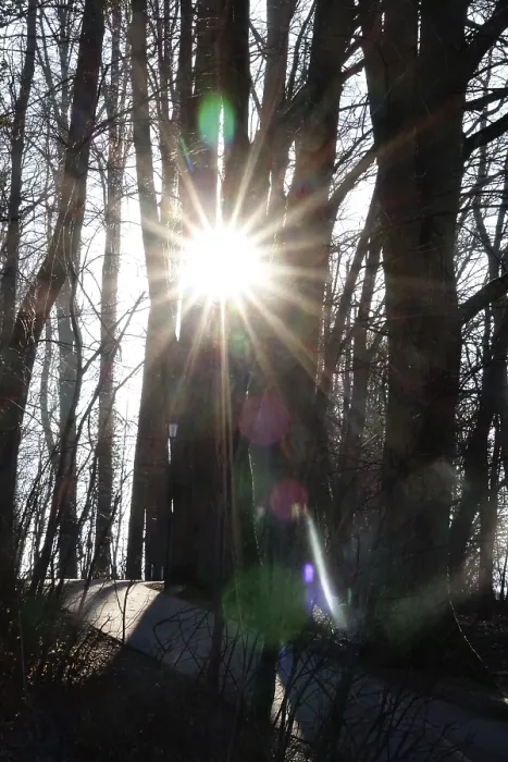 Framed Print : Winter Sun Print, Germany Framed Print : Winter Sun Print, Germany