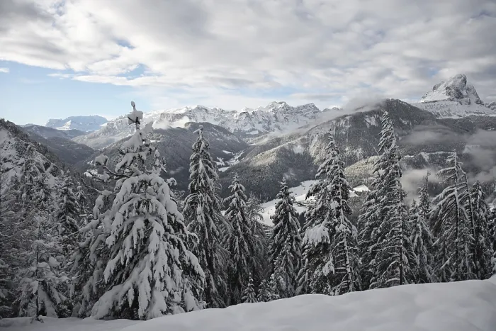 Framed Print : Winterly Winterly Print by ImageBROKER Framed Print : Winterly Winterly Print by ImageBROKER