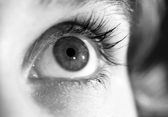Framed Print : Woman's Eye Print Framed Print : Woman's Eye Print