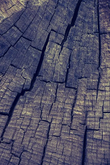 Framed Print : Wood Texture Print with Natural Patterns Background Framed Print : Wood Texture Print with Natural Patterns Background