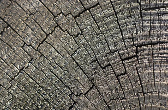 Framed Print : Wood Texture Print with Natural Patterns Background Framed Print : Wood Texture Print with Natural Patterns Background