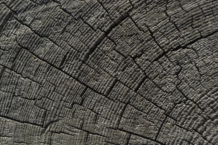 Framed Print : Wood Texture Print with Natural Patterns Framed Print : Wood Texture Print with Natural Patterns