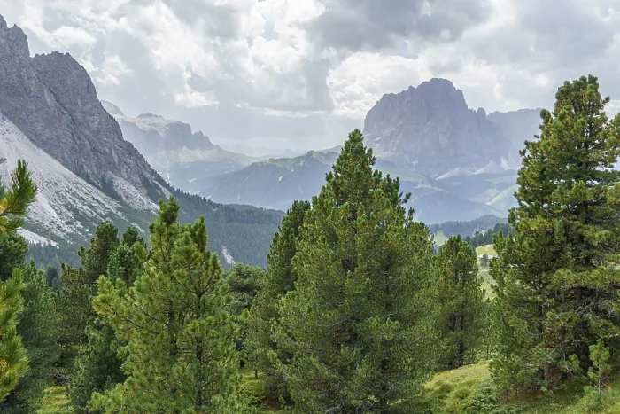 Framed Print : Dramatic Clouds Over Wooded Dolomites Print Framed Print : Dramatic Clouds Over Wooded Dolomites Print